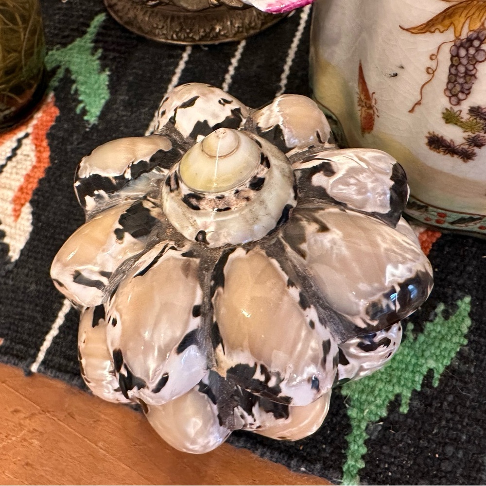 Vintage Seashell Mother of Pearl Trinket Box Nautical Coastal Palm Beach Decor